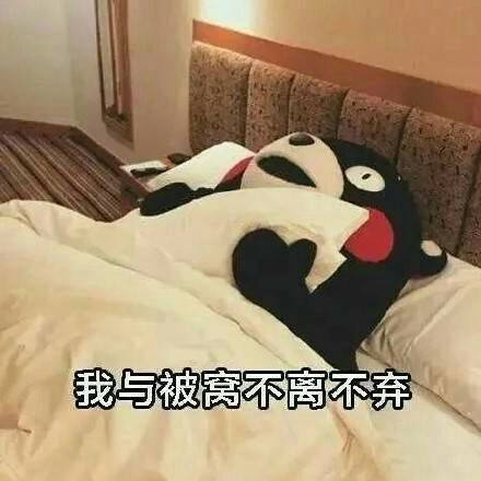 每早起床的我.