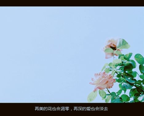 你眷恋的 都已经离去