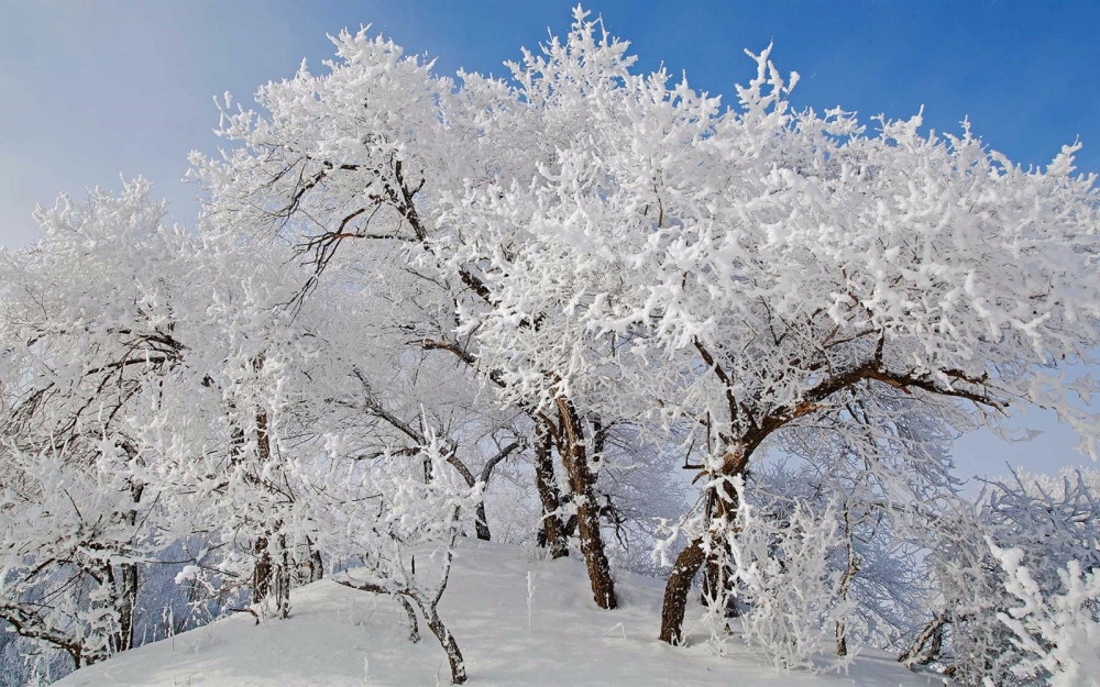 坝上草原雪景高清壁纸
