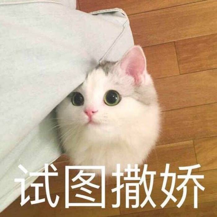 可爱到爆的软妹表情包lll林十一