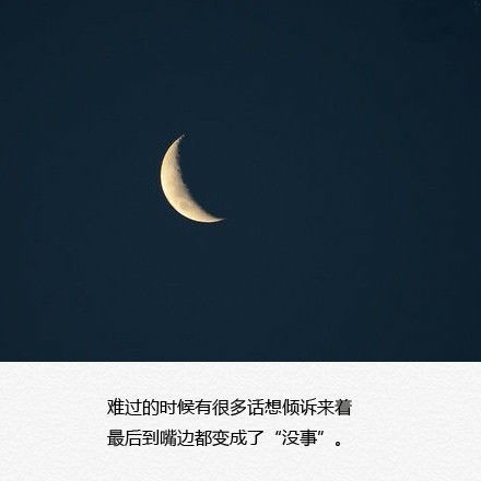 你不懂我的装腔作势，以为那就是坚强的我