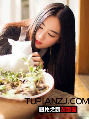 靓丽女生长发直发发型 淑女修颜