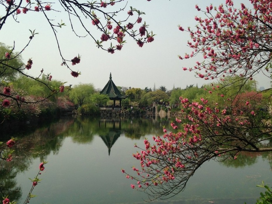 风景桃花 春天桃花开桌面壁纸风景