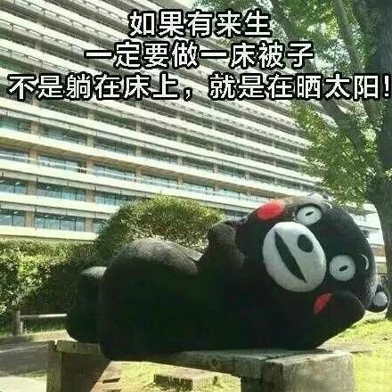 每早起床的我.