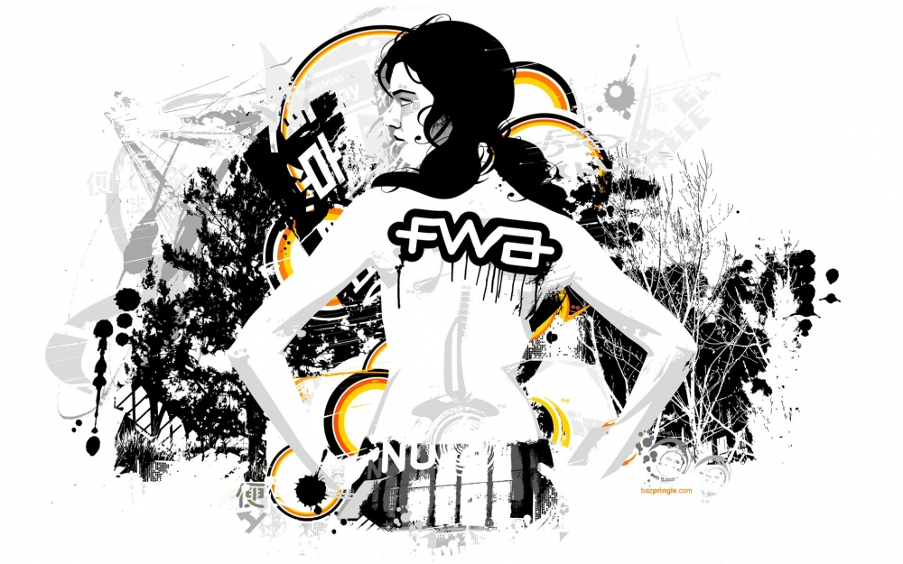 宽屏FWA 第四辑