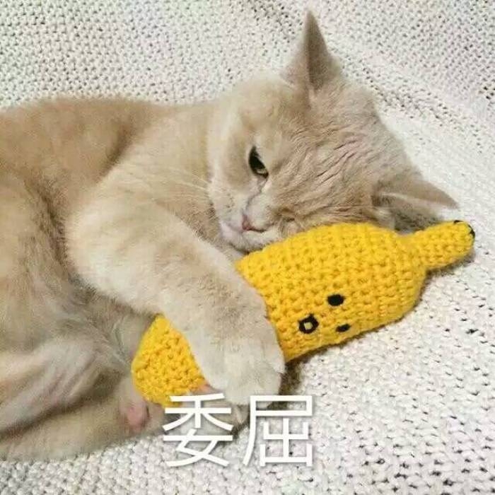 可爱到爆的软妹表情包lll林十一