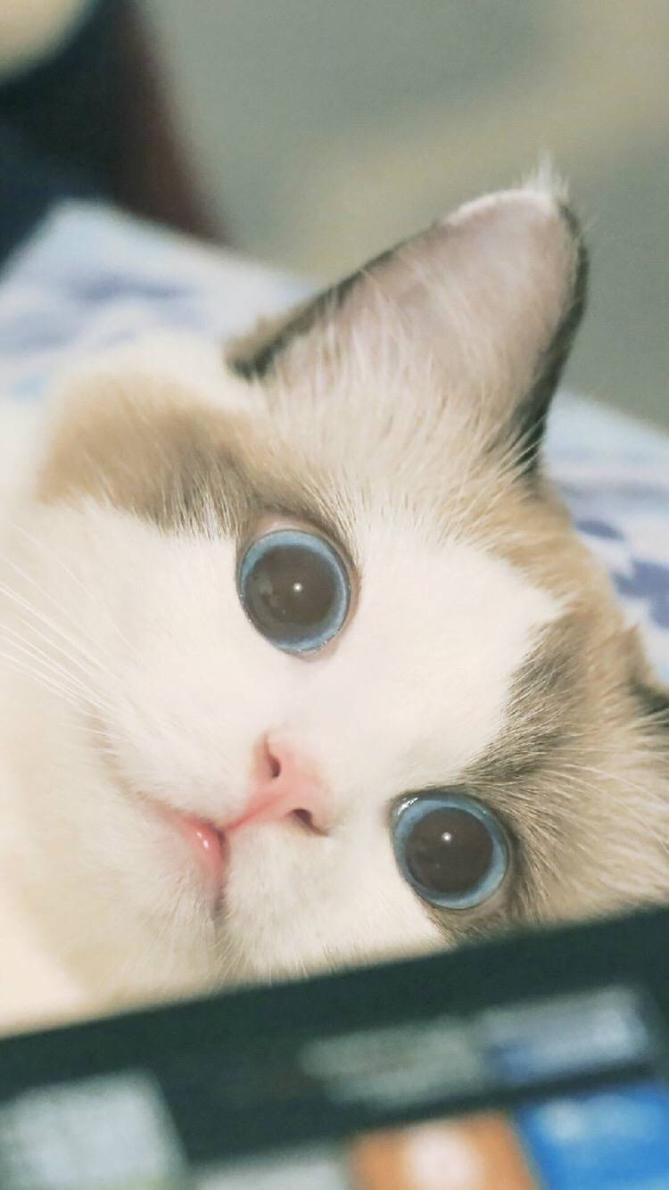 我又不是那个谁。
