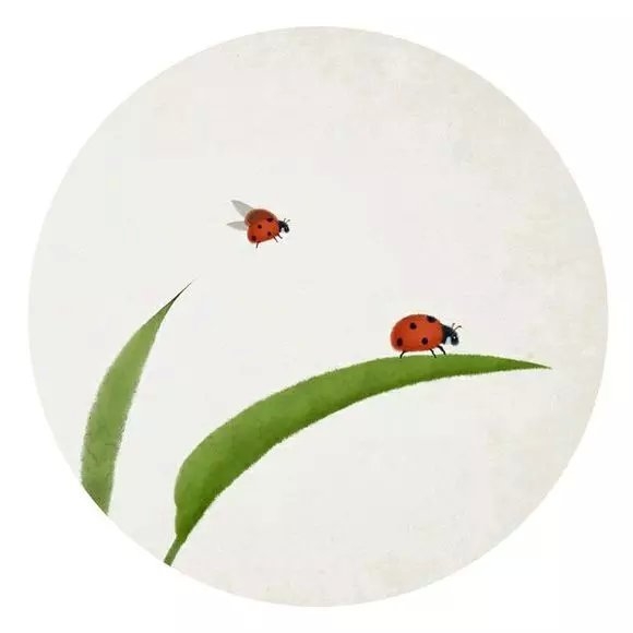 戒掉所有包括感情