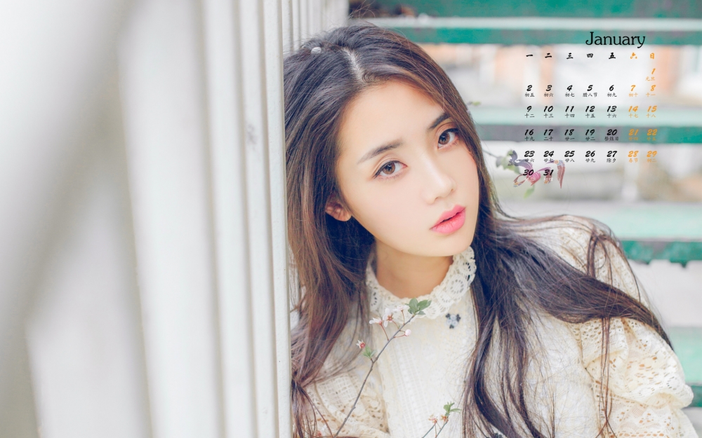 2017年1月气质文艺美女高清日历壁纸