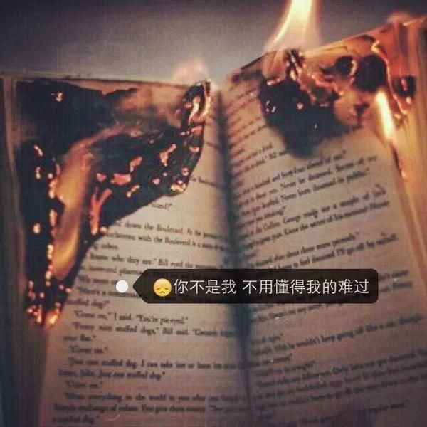 夜晚总是太寂寞，没有一个人会去安慰一个爱哭的女孩。