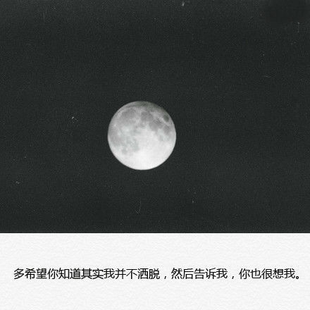 你不懂我的装腔作势，以为那就是坚强的我