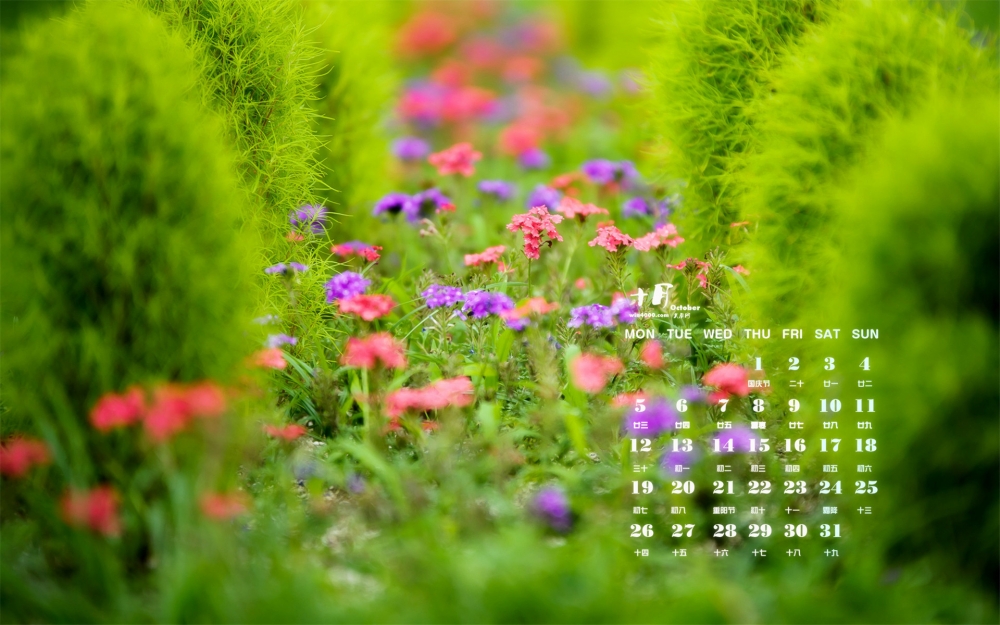 2015年10月日历保护视力的绿色风景高清图片壁纸3