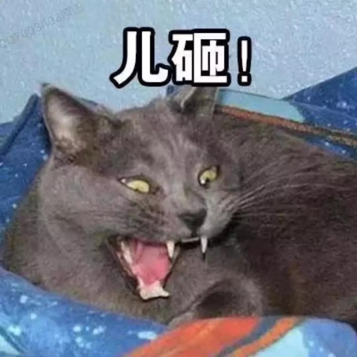 可爱到爆的软妹表情包lll林十一