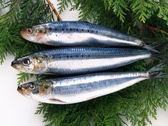 各色海鲜特色美食