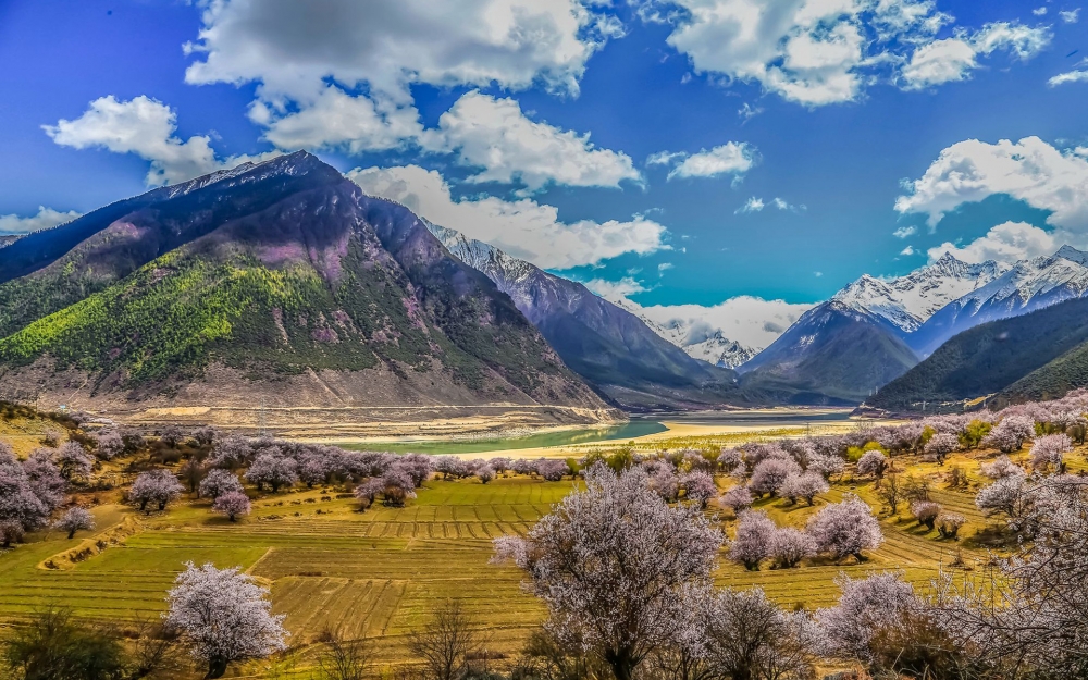 风景桃花 春天桃花开桌面壁纸风景