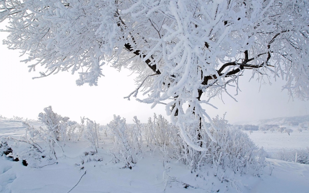 坝上草原雪景高清壁纸