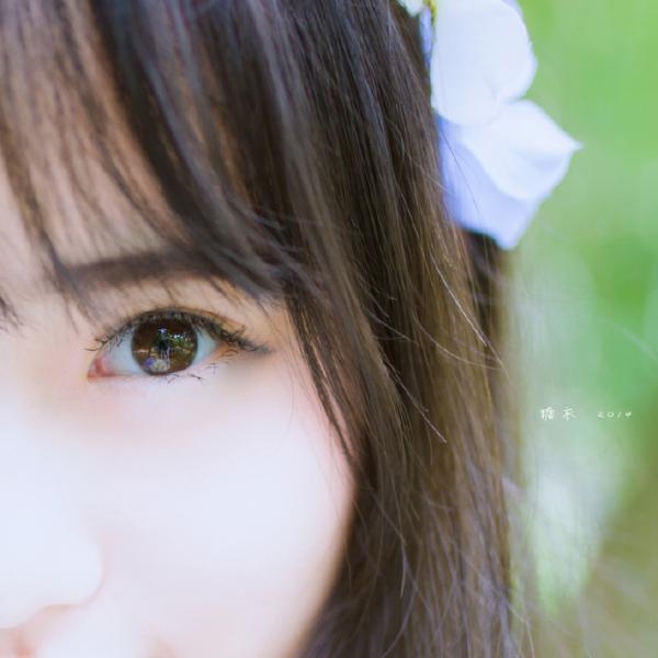 麋鹿新娘