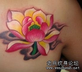 美女肩部彩色莲花纹身图片