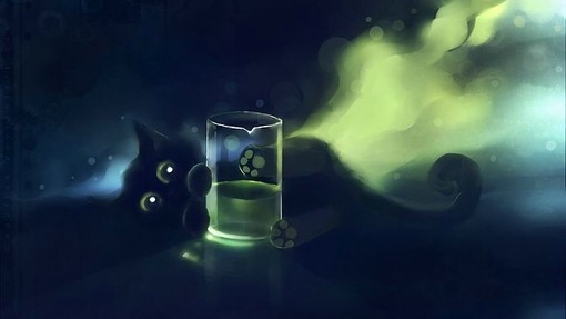 南家的黑猫