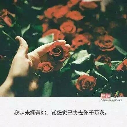 若有朝一日无处可去，不妨归来，把