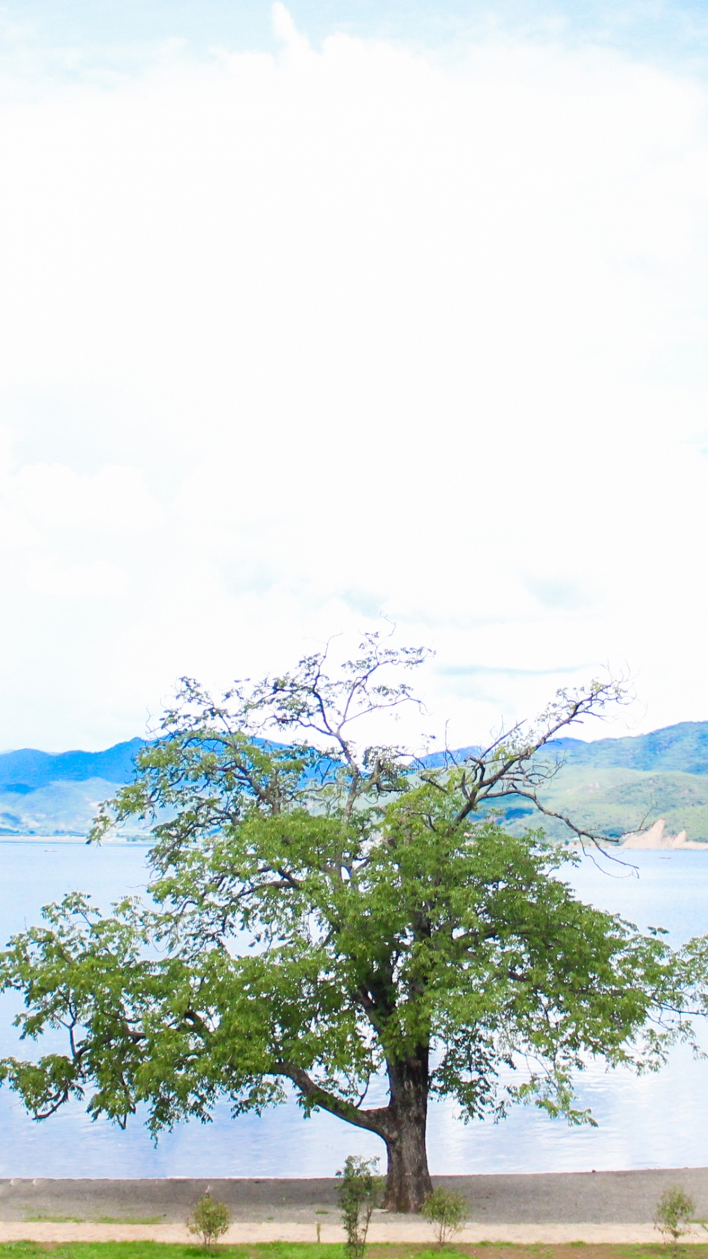 云南小清新风景手机壁纸图片