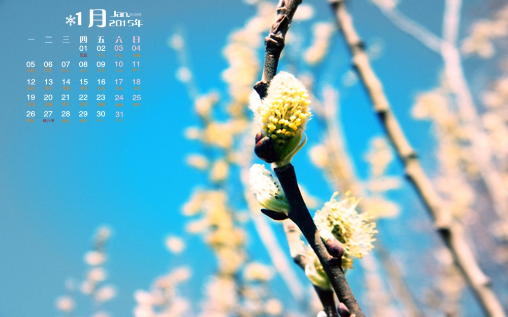 2015年1月日历充满生机的绿色植物嫩芽高清电脑桌面壁纸
