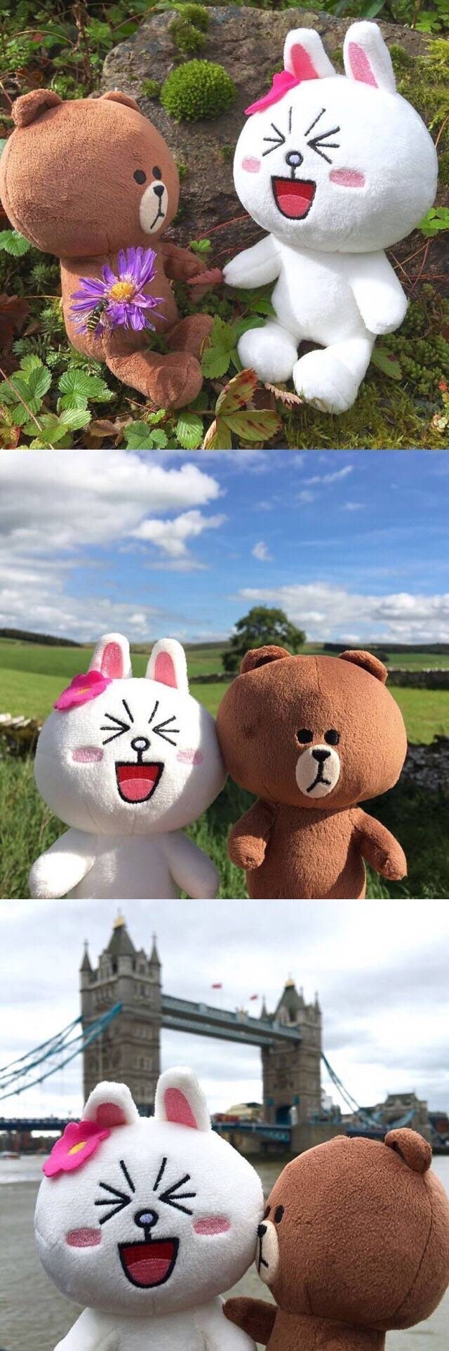 当布朗熊遇上可妮兔♡