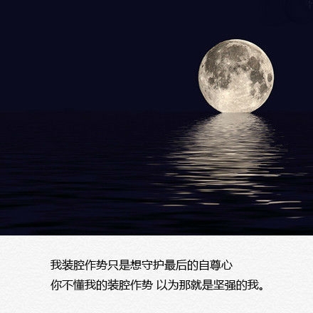 你不懂我的装腔作势，以为那就是坚强的我