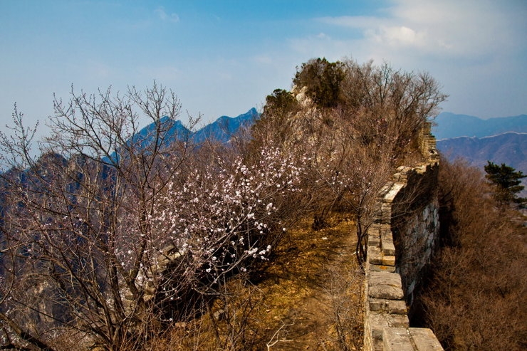 山花含苞访箭扣