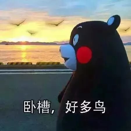 为什么要读书？？？