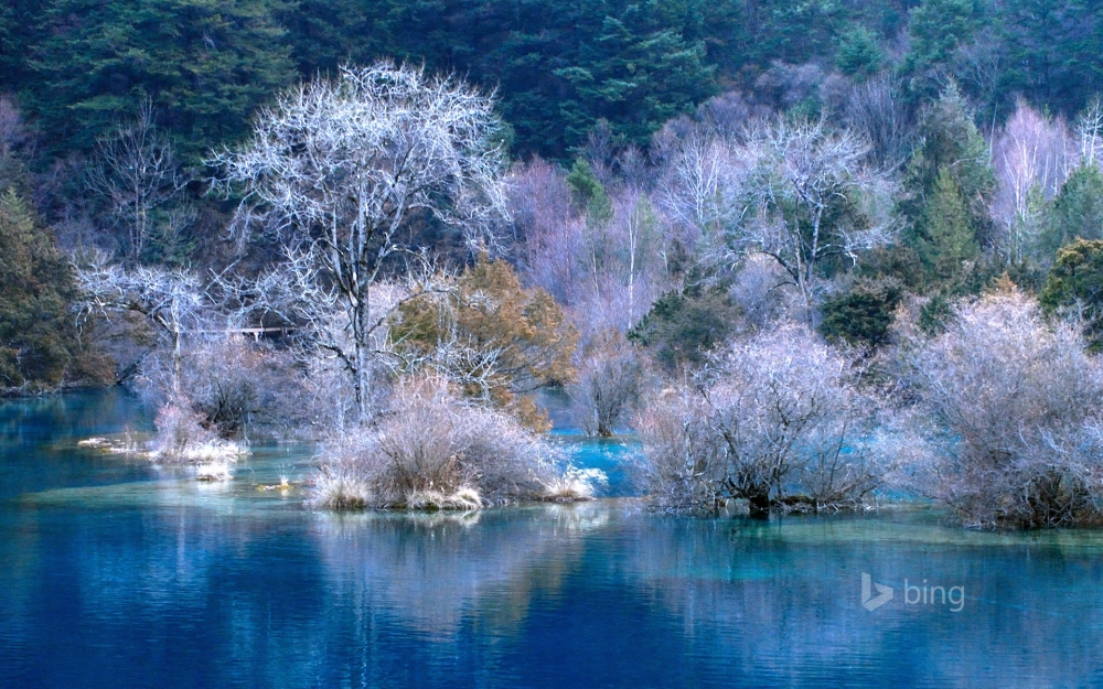 绝美bing风景
