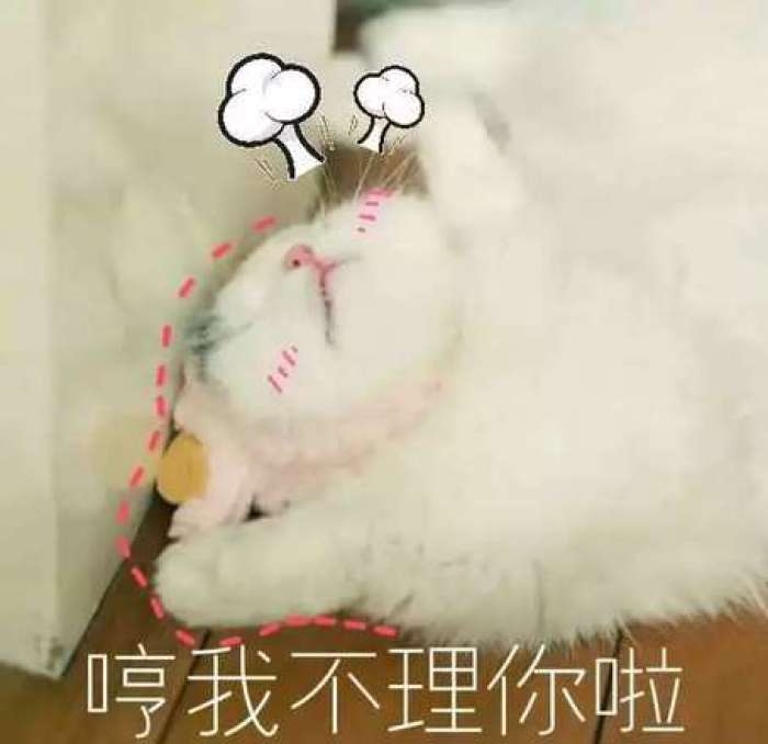 可爱到爆的软妹表情包lll林十一