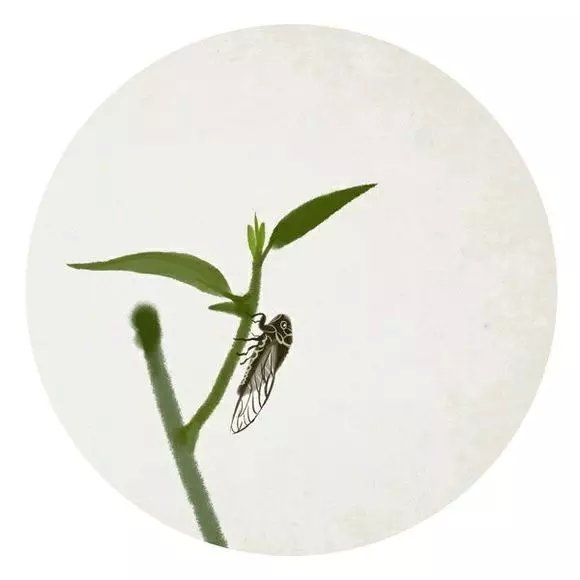 戒掉所有包括感情