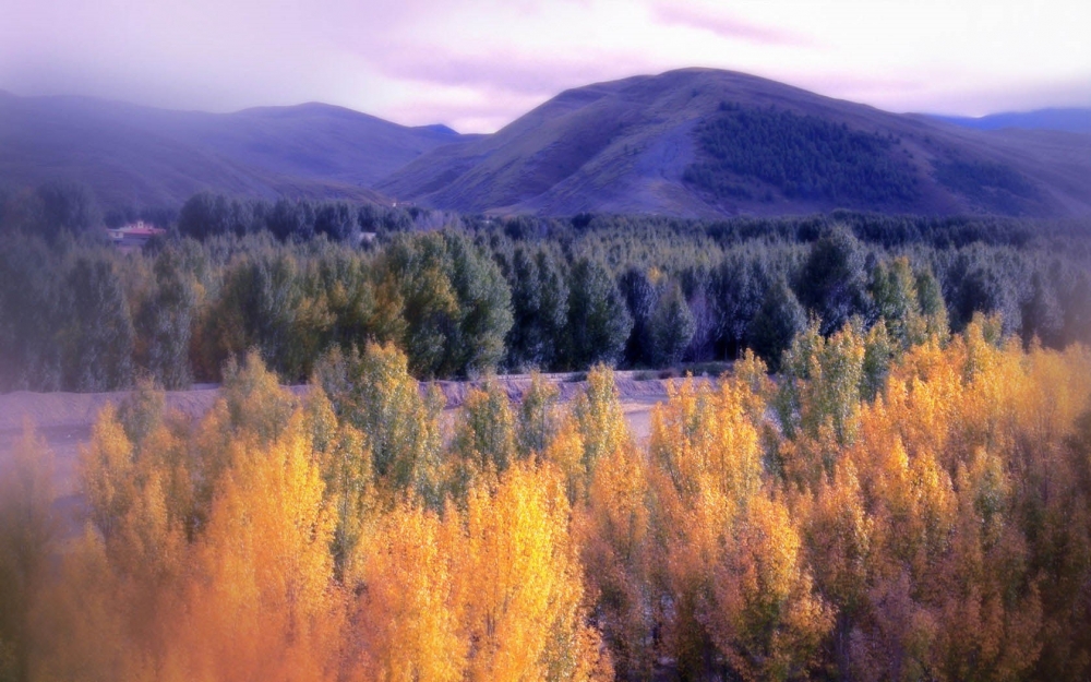 秋天美丽高山森林风景桌面壁纸