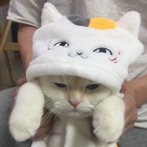 卖萌喵星人唯美可爱头像
