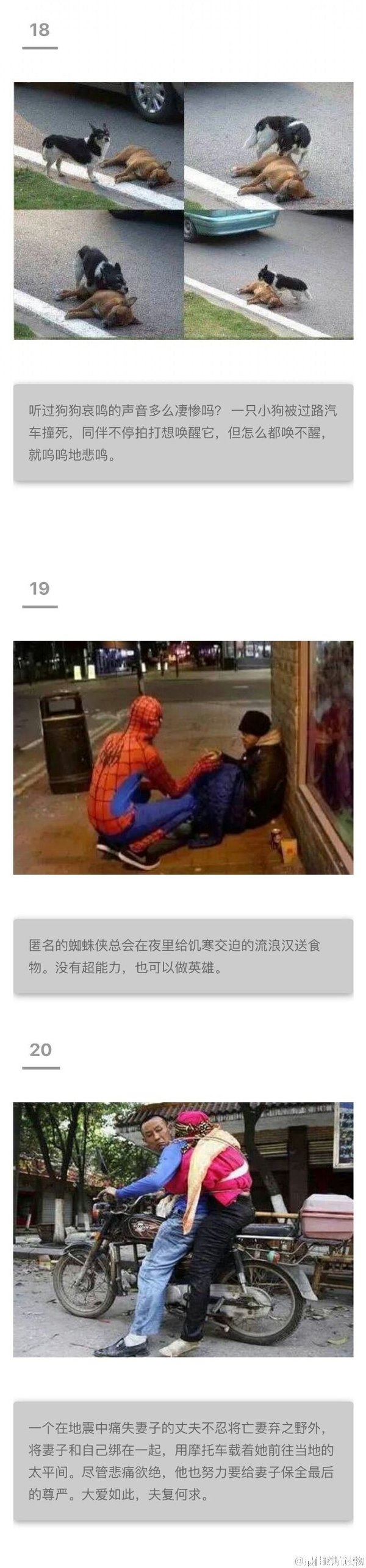 最动人的照片，看到第几张你眼泪流下来了