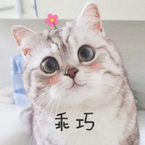 卖萌喵星人唯美可爱头像
