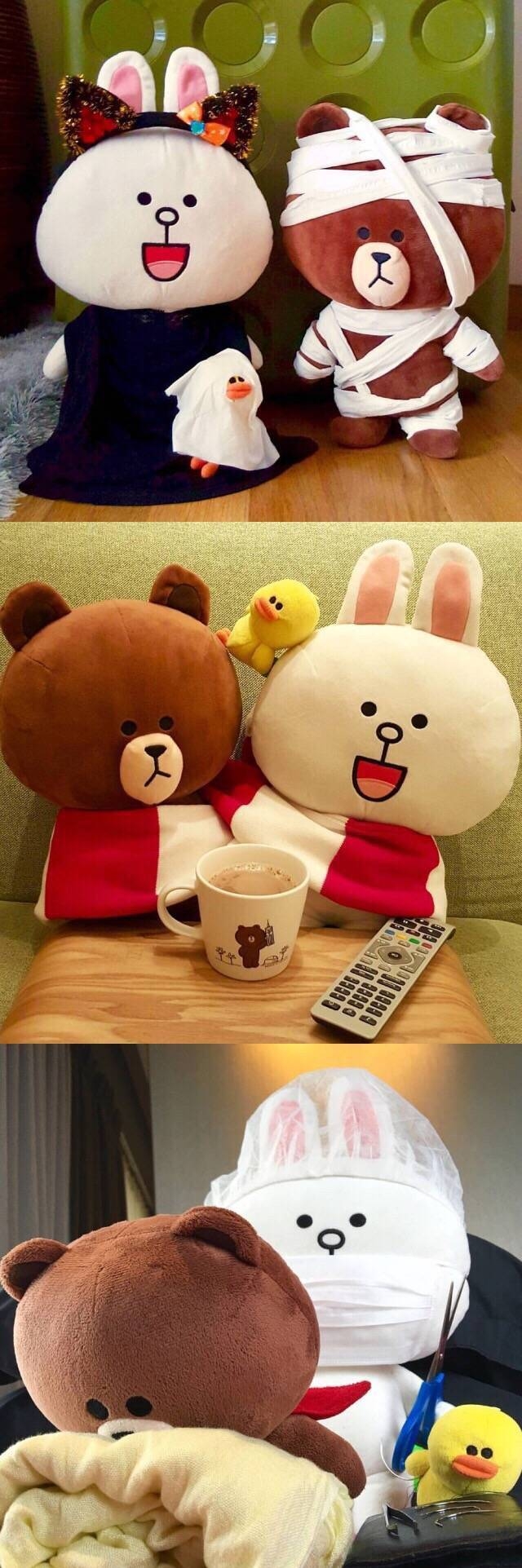 当布朗熊遇上可妮兔♡