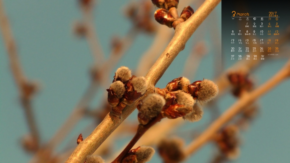 2017年3月春天树梢上的嫩芽植物日历壁纸  第一辑