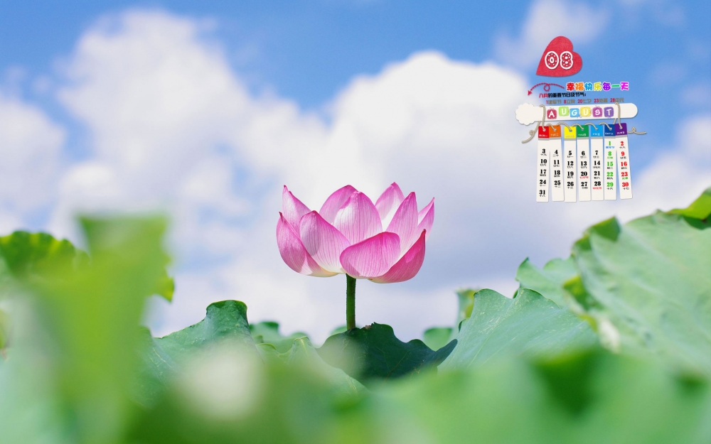 2015年8月日历壁纸小清新