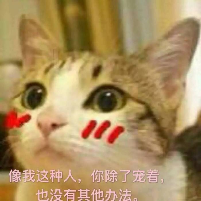 可爱到爆的软妹表情包lll林十一