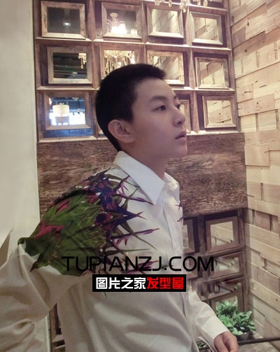 林弯弯T发型 引领时尚