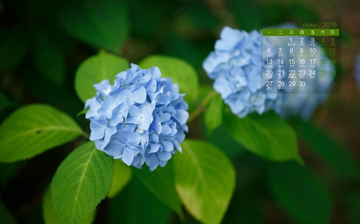 2015年护眼4月日历壁纸下载