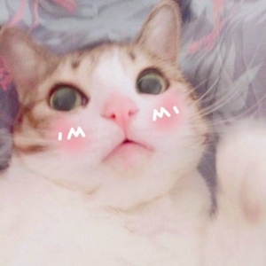 卖萌喵星人唯美可爱头像