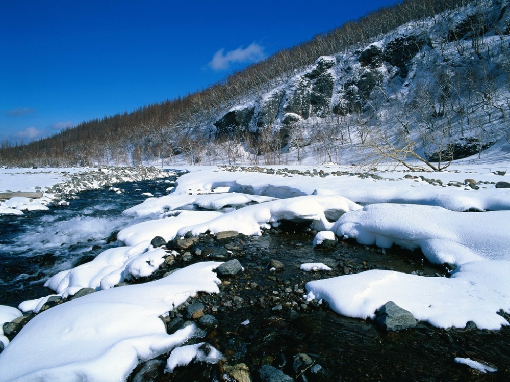 雪中写真 第一辑