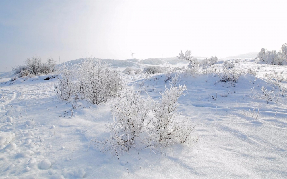 坝上草原雪景高清壁纸