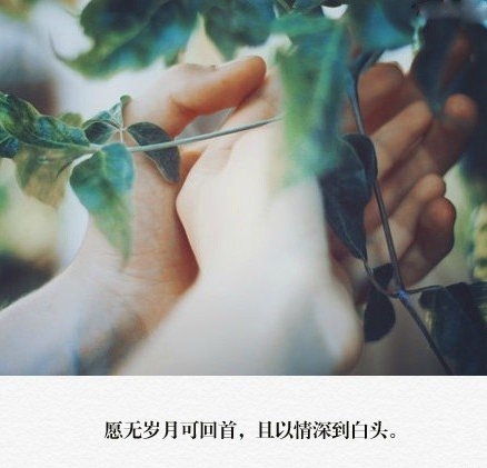 靠近你觉得很安心，喜欢你爱笑的眼睛