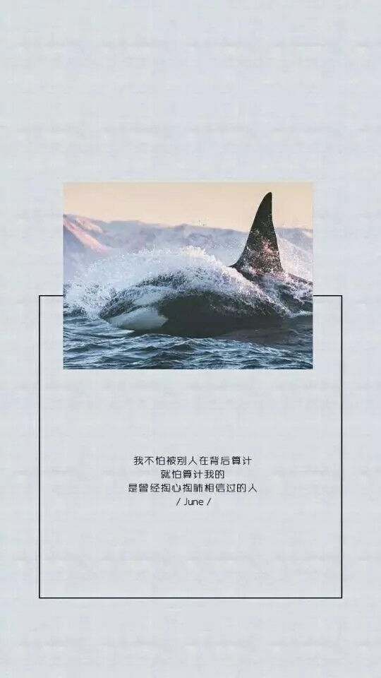 就怕算计我的，是曾经掏心掏肺相信的人