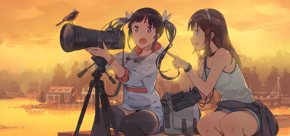 两个女孩，相机，鸟，黄昏，可爱动漫美少女电脑壁纸