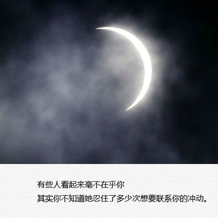 你不懂我的装腔作势，以为那就是坚强的我